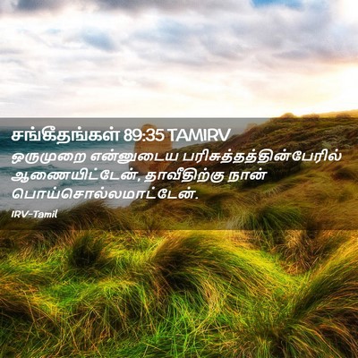 Picture 02 - சங்கீதங்கள் 89:35 TAMIRV - ஒருமுறை என்னுடைய - Bible Verse Picture