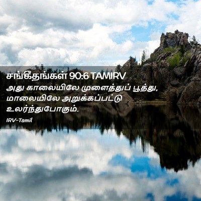 Picture 02 - சங்கீதங்கள் 90:6 TAMIRV - அது காலையிலே - Bible Verse Picture