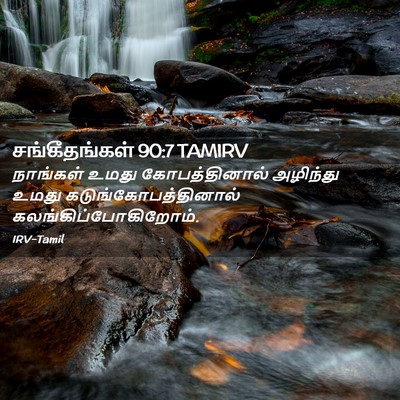 Picture 02 - சங்கீதங்கள் 90:7 TAMIRV - நாங்கள் உமது - Bible Verse Picture