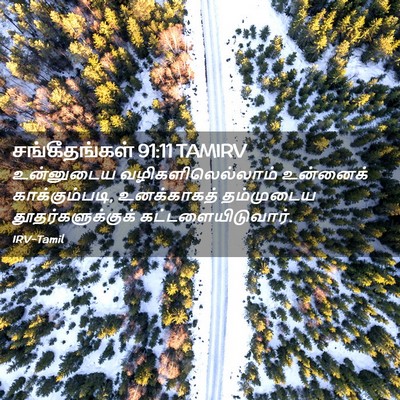 Picture 02 - சங்கீதங்கள் 91:11 TAMIRV - உன்னுடைய - Bible Verse Picture