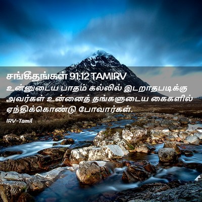 Picture 02 - சங்கீதங்கள் 91:12 TAMIRV - உன்னுடைய பாதம் - Bible Verse Picture
