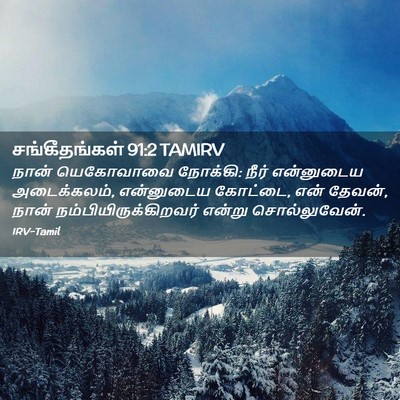 Picture 02 - சங்கீதங்கள் 91:2 TAMIRV - நான் யெகோவாவை - Bible Verse Picture