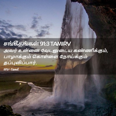 Picture 02 - சங்கீதங்கள் 91:3 TAMIRV - அவர் உன்னை - Bible Verse Picture
