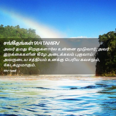 Picture 02 - சங்கீதங்கள் 91:4 TAMIRV - அவர் தமது - Bible Verse Picture