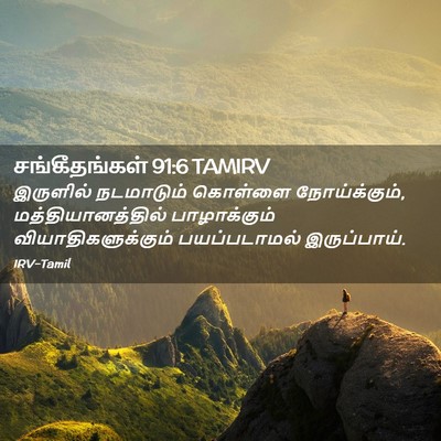 Picture 02 - சங்கீதங்கள் 91:6 TAMIRV - இருளில் நடமாடும் - Bible Verse Picture