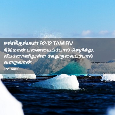 Picture 02 - சங்கீதங்கள் 92:12 TAMIRV - நீதிமான் - Bible Verse Picture