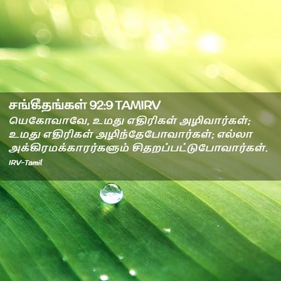 Picture 02 - சங்கீதங்கள் 92:9 TAMIRV - யெகோவாவே, உமது - Bible Verse Picture