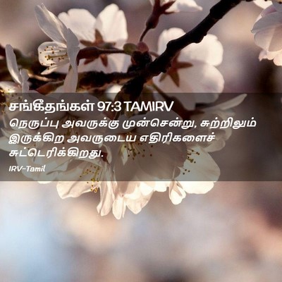 Picture 02 - சங்கீதங்கள் 97:3 TAMIRV - நெருப்பு அவருக்கு - Bible Verse Picture