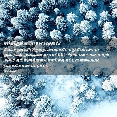 Picture 02 - சங்கீதங்கள் 99:7 TAMIRV -  - Bible Verse Picture