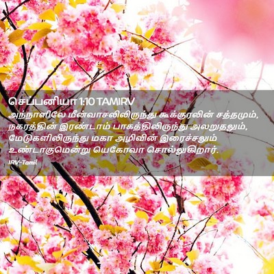 Picture 02 - செப்பனியா 1:10 TAMIRV - அந்நாளிலே - Bible Verse Picture