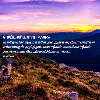 Picture 02 - செப்பனியா 1:11 TAMIRV - மக்தேஷின் - Bible Verse Picture