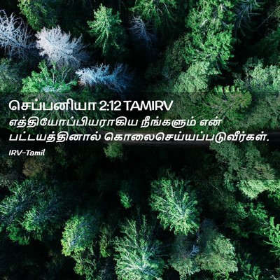 Picture 02 - செப்பனியா 2:12 TAMIRV -  - Bible Verse Picture