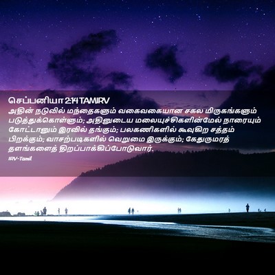 Picture 02 - செப்பனியா 2:14 TAMIRV - அதின் நடுவில் - Bible Verse Picture