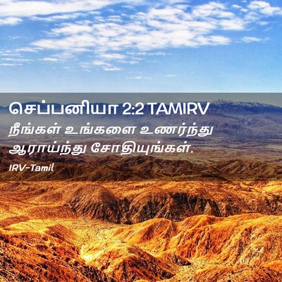Picture 02 - செப்பனியா 2:2 TAMIRV - நீங்கள் உங்களை - Bible Verse Picture