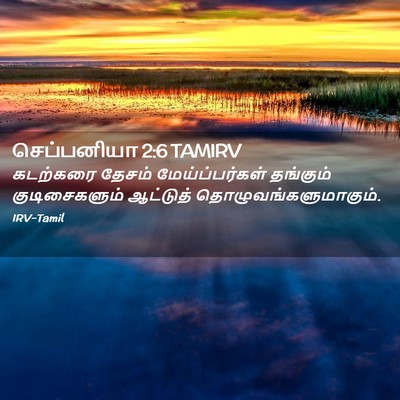 Picture 02 - செப்பனியா 2:6 TAMIRV - கடற்கரை தேசம் - Bible Verse Picture