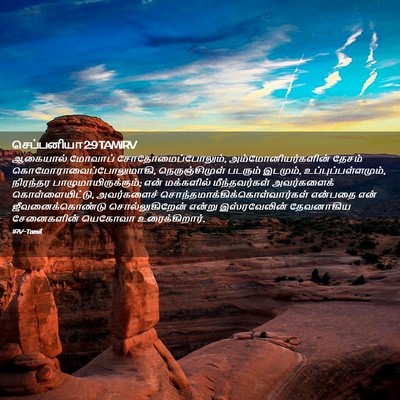 Picture 02 - செப்பனியா 2:9 TAMIRV - ஆகையால் மோவாப் - Bible Verse Picture
