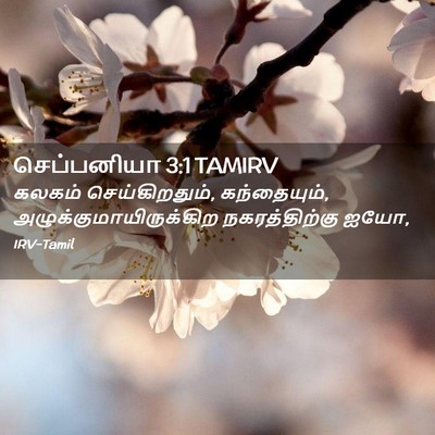 Picture 02 - செப்பனியா 3:1 TAMIRV - கலகம் - Bible Verse Picture