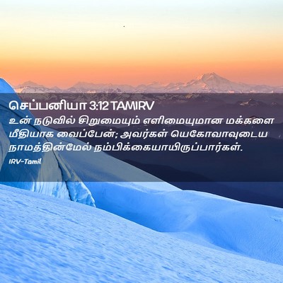 Picture 02 - செப்பனியா 3:12 TAMIRV - உன் நடுவில் - Bible Verse Picture