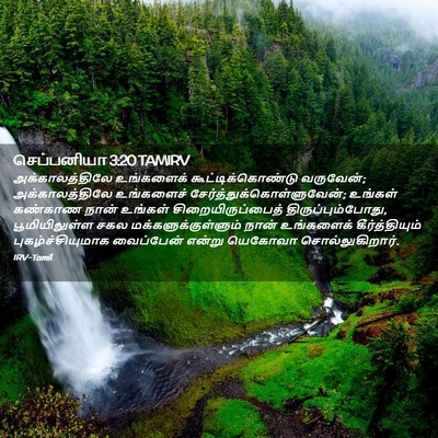 Picture 02 - செப்பனியா 3:20 TAMIRV - அக்காலத்திலே - Bible Verse Picture