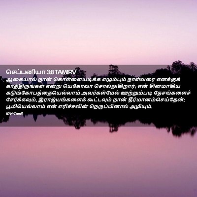 Picture 02 - செப்பனியா 3:8 TAMIRV - ஆகையால் நான் - Bible Verse Picture
