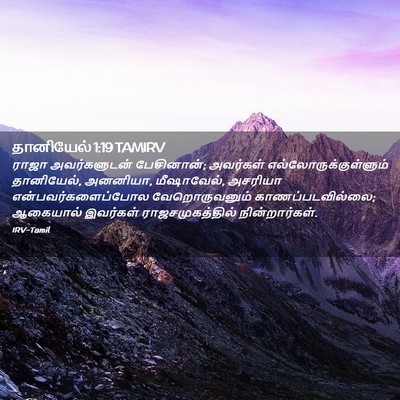 Picture 02 - தானியேல் 1:19 TAMIRV - ராஜா அவர்களுடன் - Bible Verse Picture