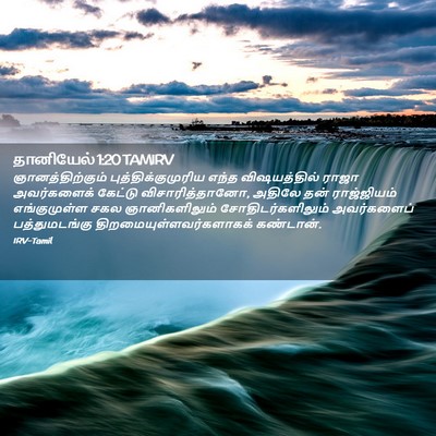 Picture 02 - தானியேல் 1:20 TAMIRV - ஞானத்திற்கும் - Bible Verse Picture