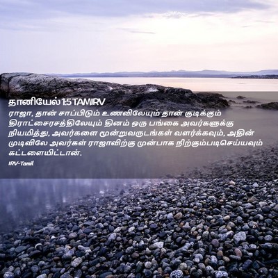 Picture 02 - தானியேல் 1:5 TAMIRV - ராஜா, தான் - Bible Verse Picture
