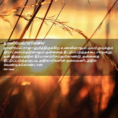 Picture 02 - தானியேல் 1:8 TAMIRV - தானியேல் ராஜா - Bible Verse Picture