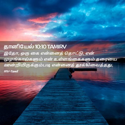 Picture 02 - தானியேல் 10:10 TAMIRV - இதோ, ஒரு கை என்னைத் - Bible Verse Picture