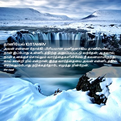 Picture 02 - தானியேல் 10:11 TAMIRV - அவன் என்னை நோக்கி: - Bible Verse Picture