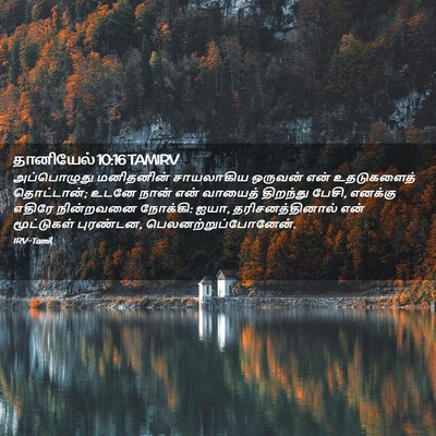 Picture 02 - தானியேல் 10:16 TAMIRV - அப்பொழுது - Bible Verse Picture