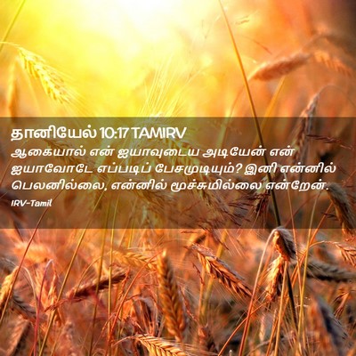 Picture 02 - தானியேல் 10:17 TAMIRV - ஆகையால் என் - Bible Verse Picture