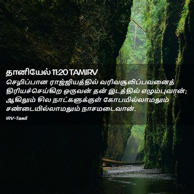 Picture 02 - தானியேல் 11:20 TAMIRV - செழிப்பான - Bible Verse Picture