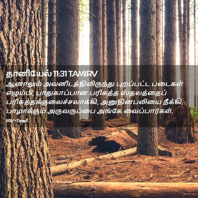 Picture 02 - தானியேல் 11:31 TAMIRV - ஆனாலும் - Bible Verse Picture