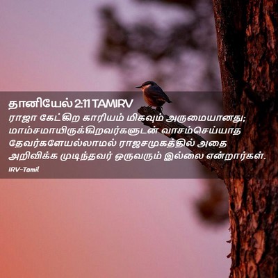 Picture 02 - தானியேல் 2:11 TAMIRV - ராஜா கேட்கிற - Bible Verse Picture
