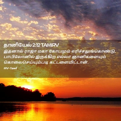 Picture 02 - தானியேல் 2:12 TAMIRV - இதனால் ராஜா மகா - Bible Verse Picture