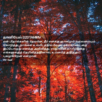 Picture 02 - தானியேல் 2:23 TAMIRV - என் பிதாக்களின் - Bible Verse Picture