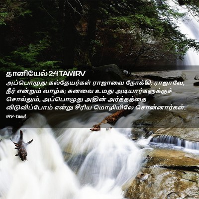 Picture 02 - தானியேல் 2:4 TAMIRV - அப்பொழுது - Bible Verse Picture