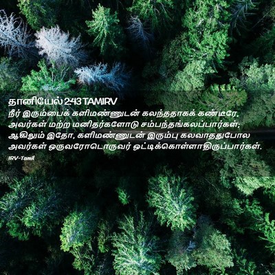 Picture 02 - தானியேல் 2:43 TAMIRV - நீர் இரும்பைக் - Bible Verse Picture