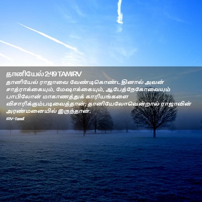 Picture 02 - தானியேல் 2:49 TAMIRV - தானியேல் ராஜாவை - Bible Verse Picture