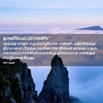 Picture 02 - தானியேல் 2:8 TAMIRV - அதற்கு ராஜா - Bible Verse Picture