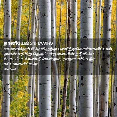 Picture 02 - தானியேல் 3:11 TAMIRV - எவனாகிலும் - Bible Verse Picture