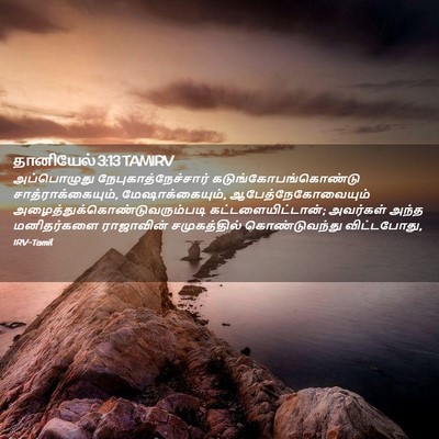 Picture 02 - தானியேல் 3:13 TAMIRV - அப்பொழுது - Bible Verse Picture