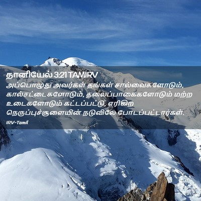 Picture 02 - தானியேல் 3:21 TAMIRV - அப்பொழுது அவர்கள் - Bible Verse Picture