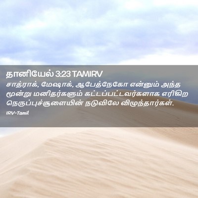 Picture 02 - தானியேல் 3:23 TAMIRV - சாத்ராக், மேஷாக், - Bible Verse Picture