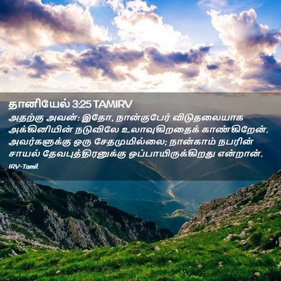 Picture 02 - தானியேல் 3:25 TAMIRV - அதற்கு அவன்: இதோ, - Bible Verse Picture