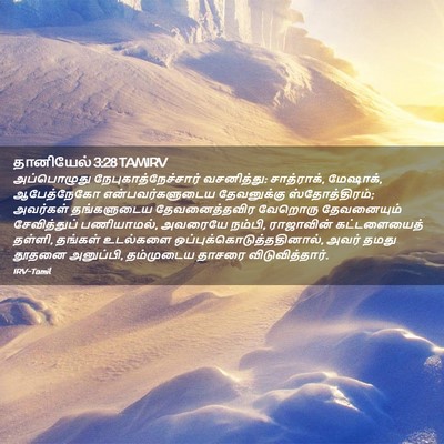 Picture 02 - தானியேல் 3:28 TAMIRV - அப்பொழுது - Bible Verse Picture