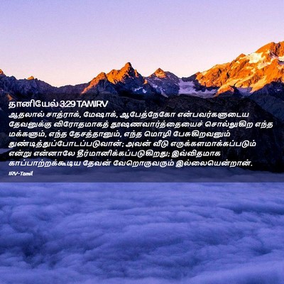 Picture 02 - தானியேல் 3:29 TAMIRV - ஆதலால் சாத்ராக், - Bible Verse Picture