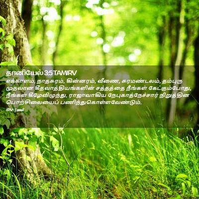 Picture 02 - தானியேல் 3:5 TAMIRV - எக்காளம், - Bible Verse Picture