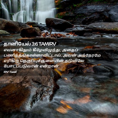 Picture 02 - தானியேல் 3:6 TAMIRV - எவனாகிலும் - Bible Verse Picture